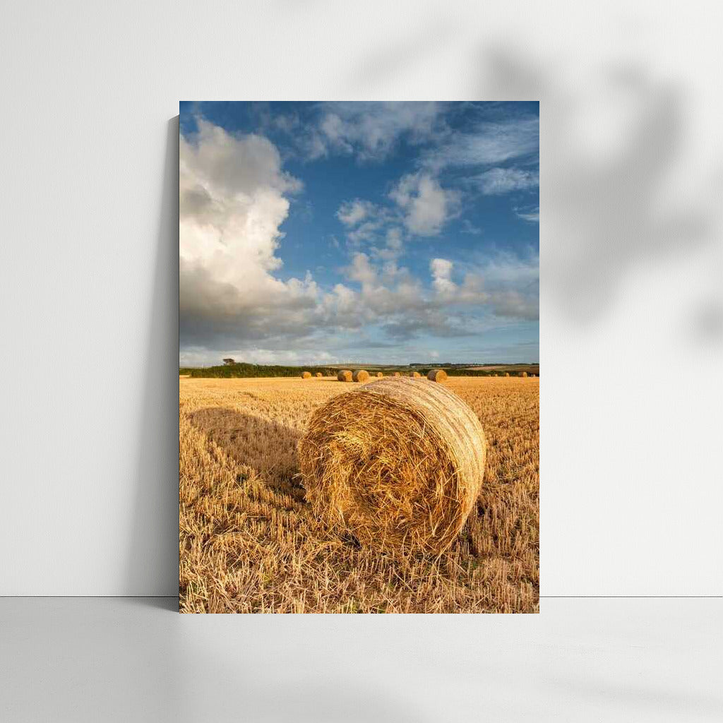 Serene Spaces: Fields and Countryside Landscapes