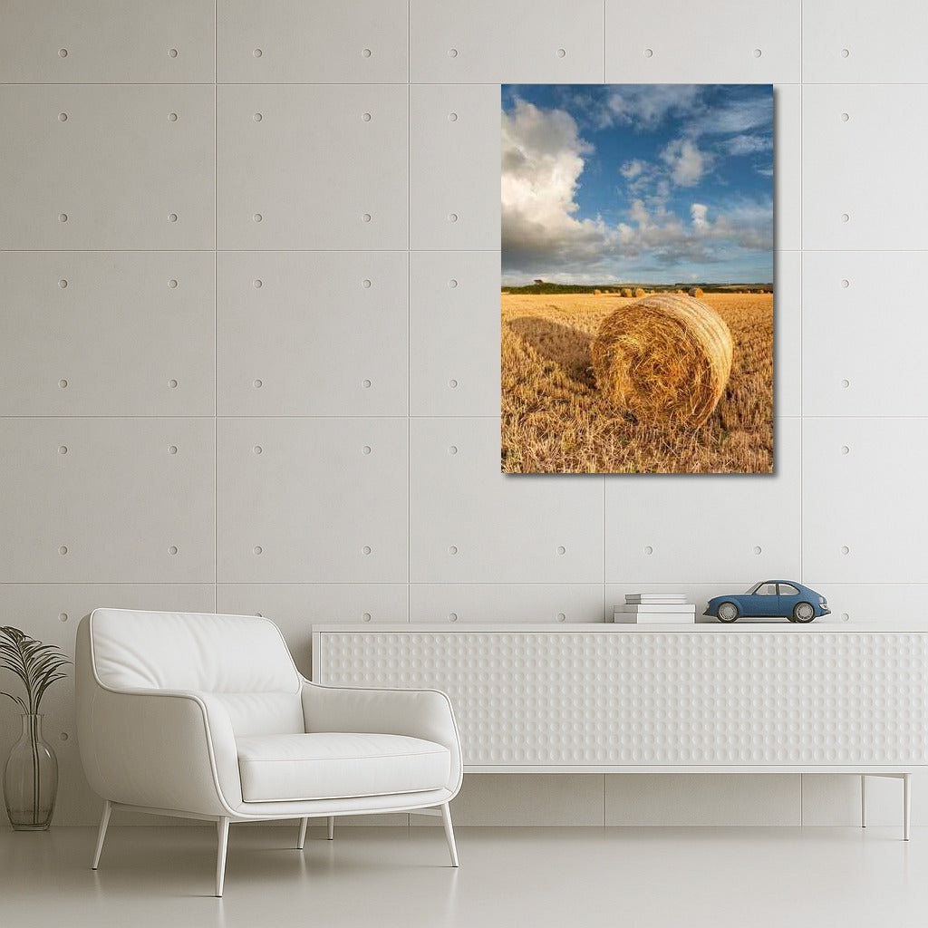 Serene Spaces: Fields and Countryside Landscapes