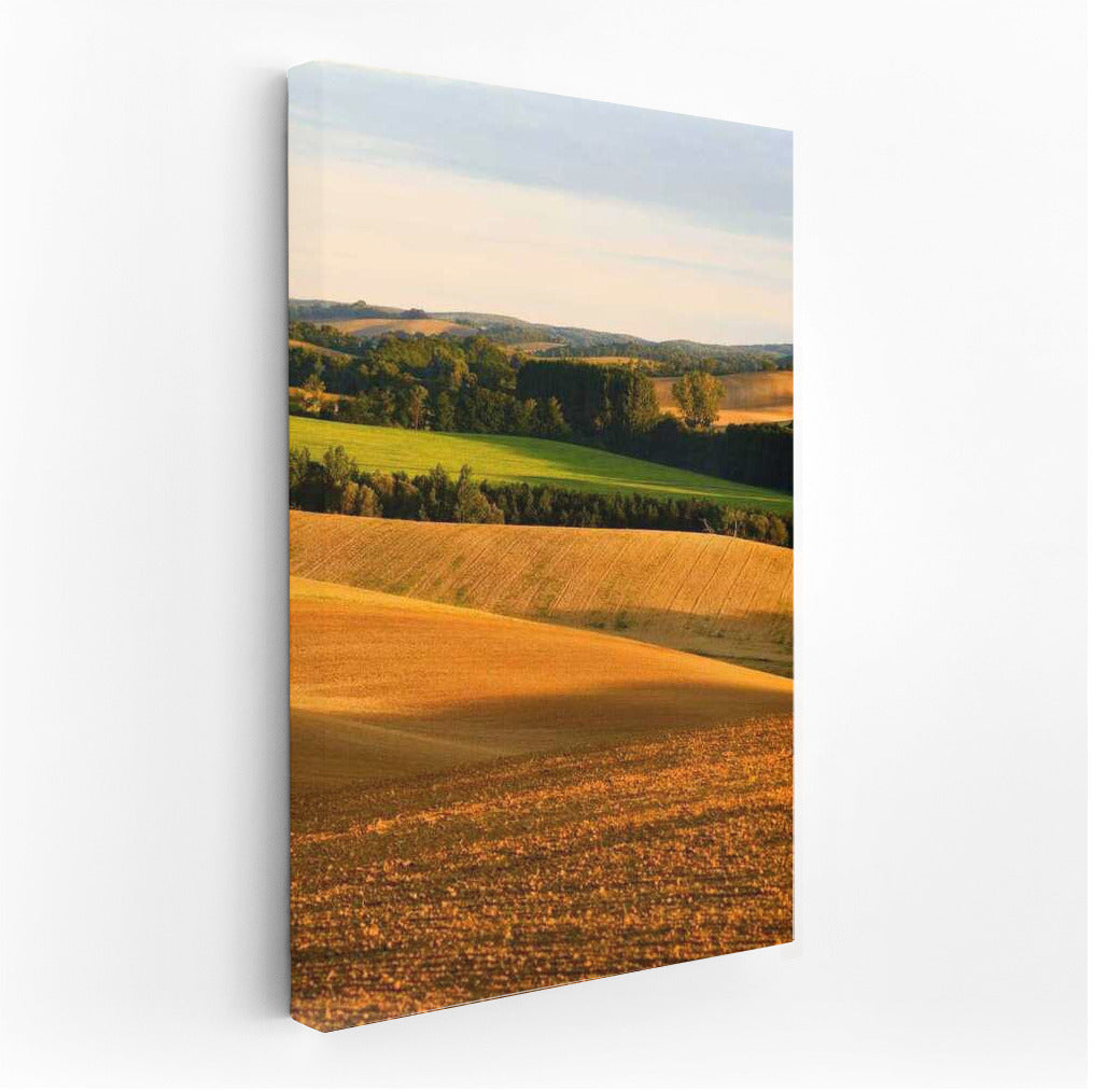 Harmony of the Fields: Picturesque Spaces of Rural Nature