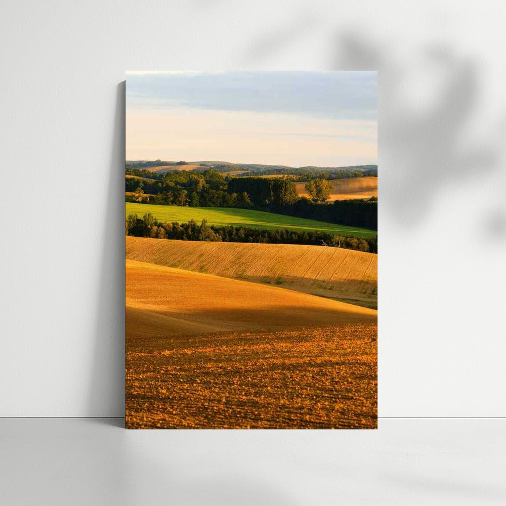 Harmony of the Fields: Picturesque Spaces of Rural Nature