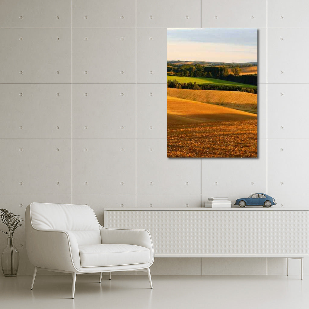 Harmony of the Fields: Picturesque Spaces of Rural Nature