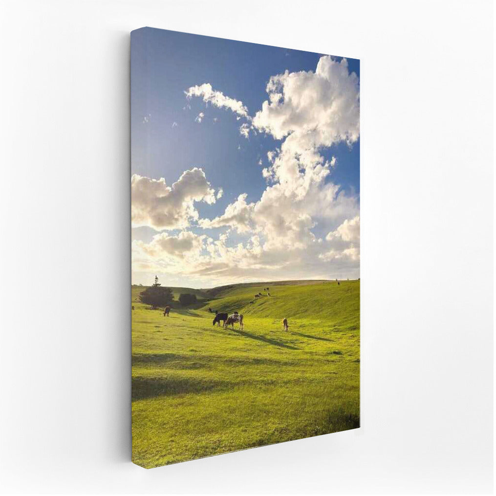 Sunset Magic of Country Fields: Natural Landscapes and Farmlands