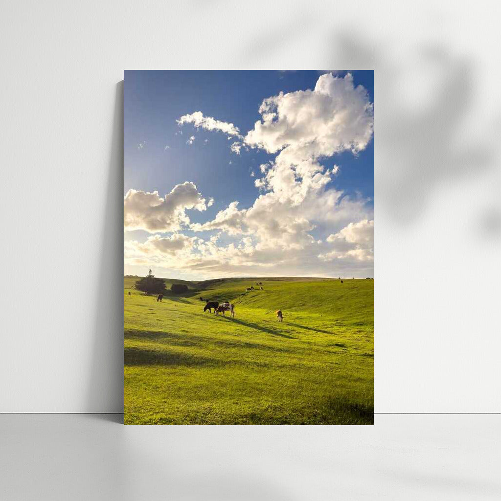 Sunset Magic of Country Fields: Natural Landscapes and Farmlands