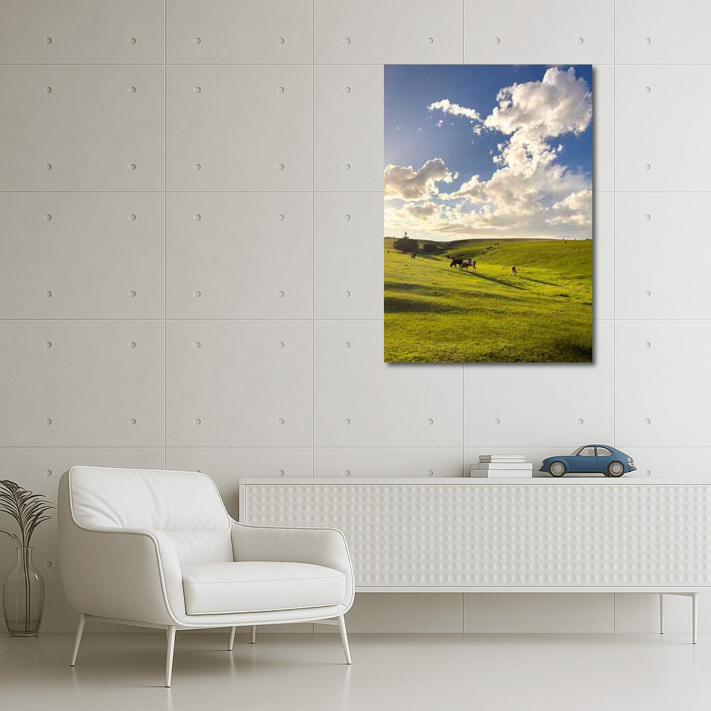 Sunset Magic of Country Fields: Natural Landscapes and Farmlands