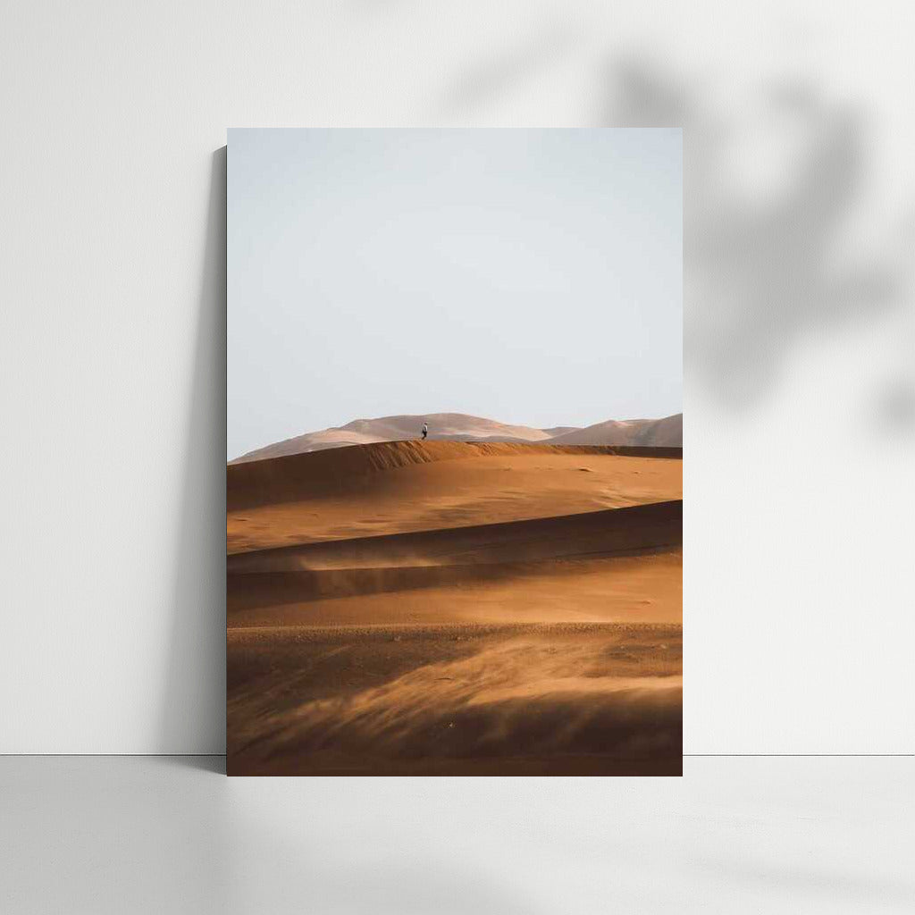 Tranquility of the Sand Dunes: Mesmerizing Desert Landscape