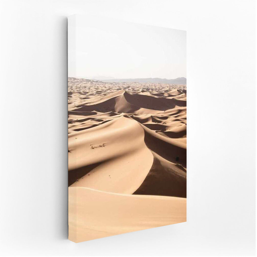 Eternal Sand Lines: Desert Landscape