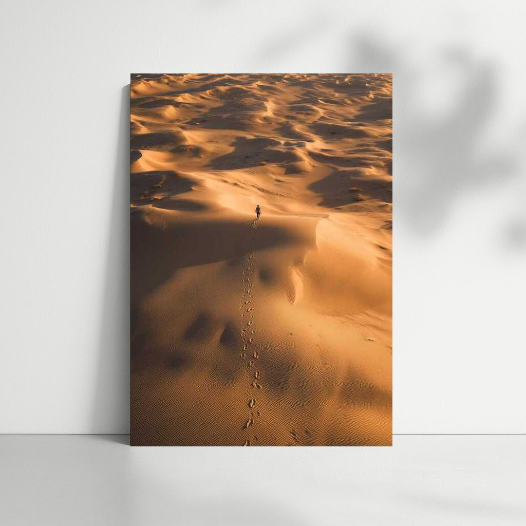 Traces of the Traveler: Sandy Expanses of the Desert