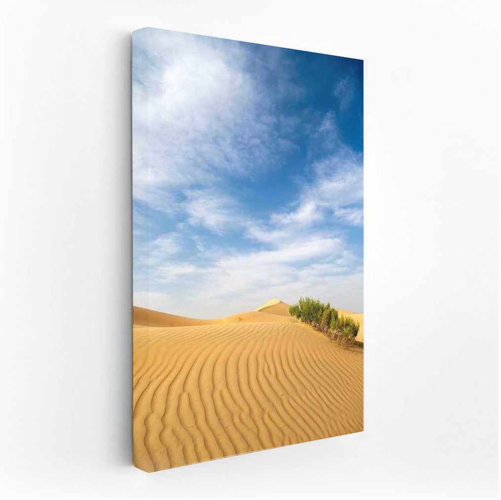 Velvet Dunes Under the Endless Sky: An Oasis of Tranquility in the Desert Landscape