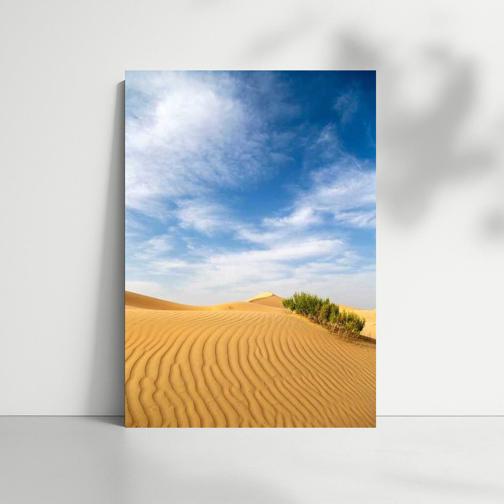 Velvet Dunes Under the Endless Sky: An Oasis of Tranquility in the Desert Landscape