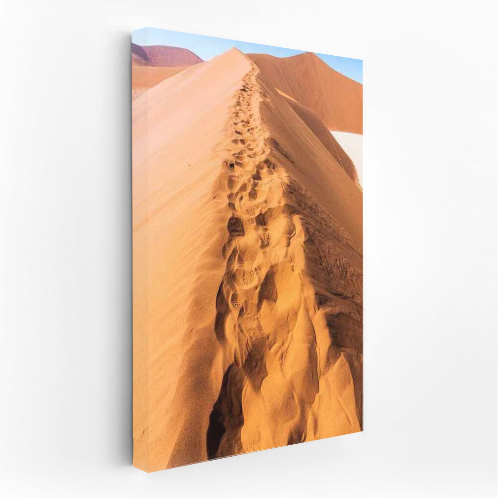 Sand Dune Trails: Nature Scenery and Desert Landscapes