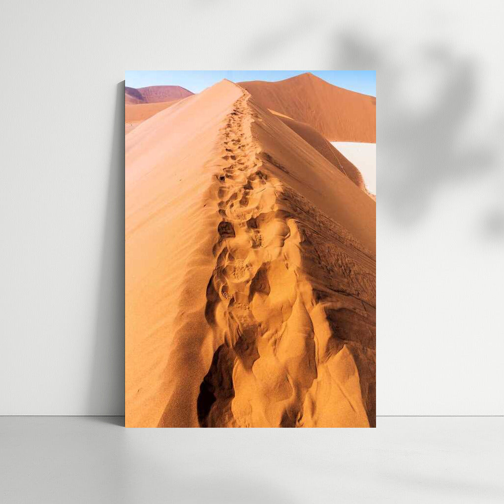 Sand Dune Trails: Nature Scenery and Desert Landscapes