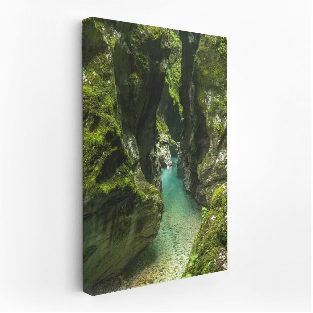 Emerald Cave: Secrets of Nature among the Rock Giants