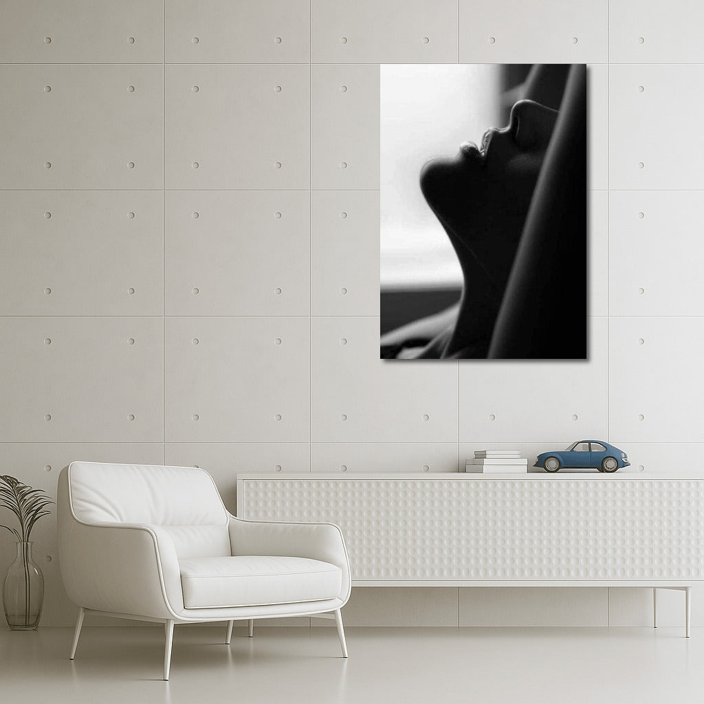 Sensual Mystery: Black and White Pleasure