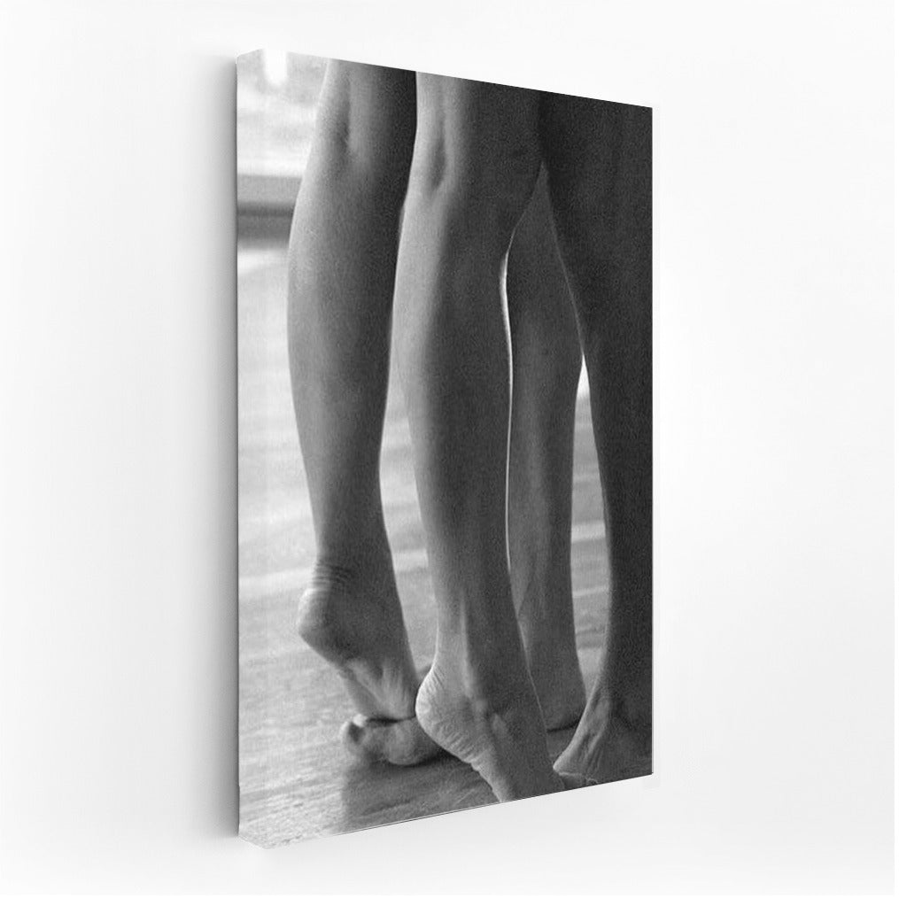 Dance of Sensuality: Tender Silhouettes