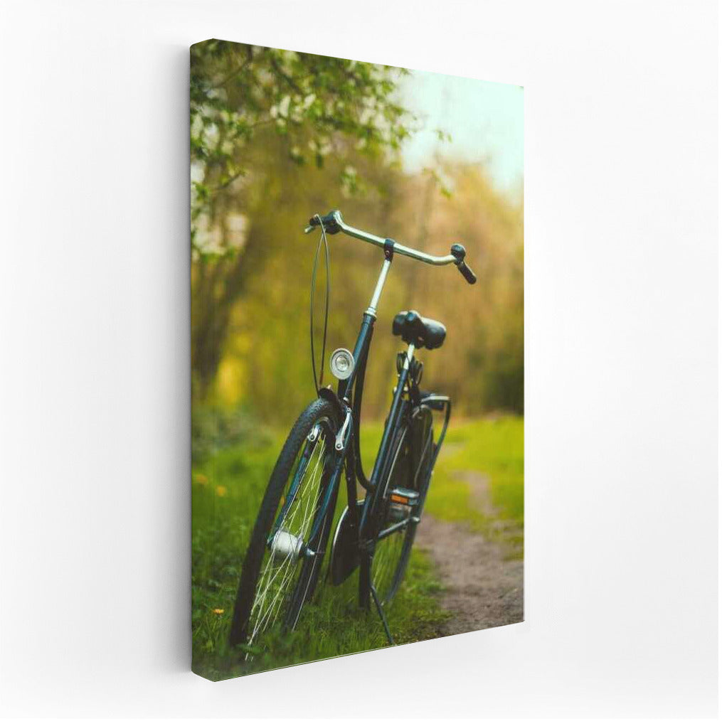 Vintage Bike in the Wilderness: A Journey into Nature