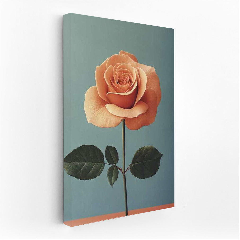 Elegant Rose: Minimalistic Flower Photography