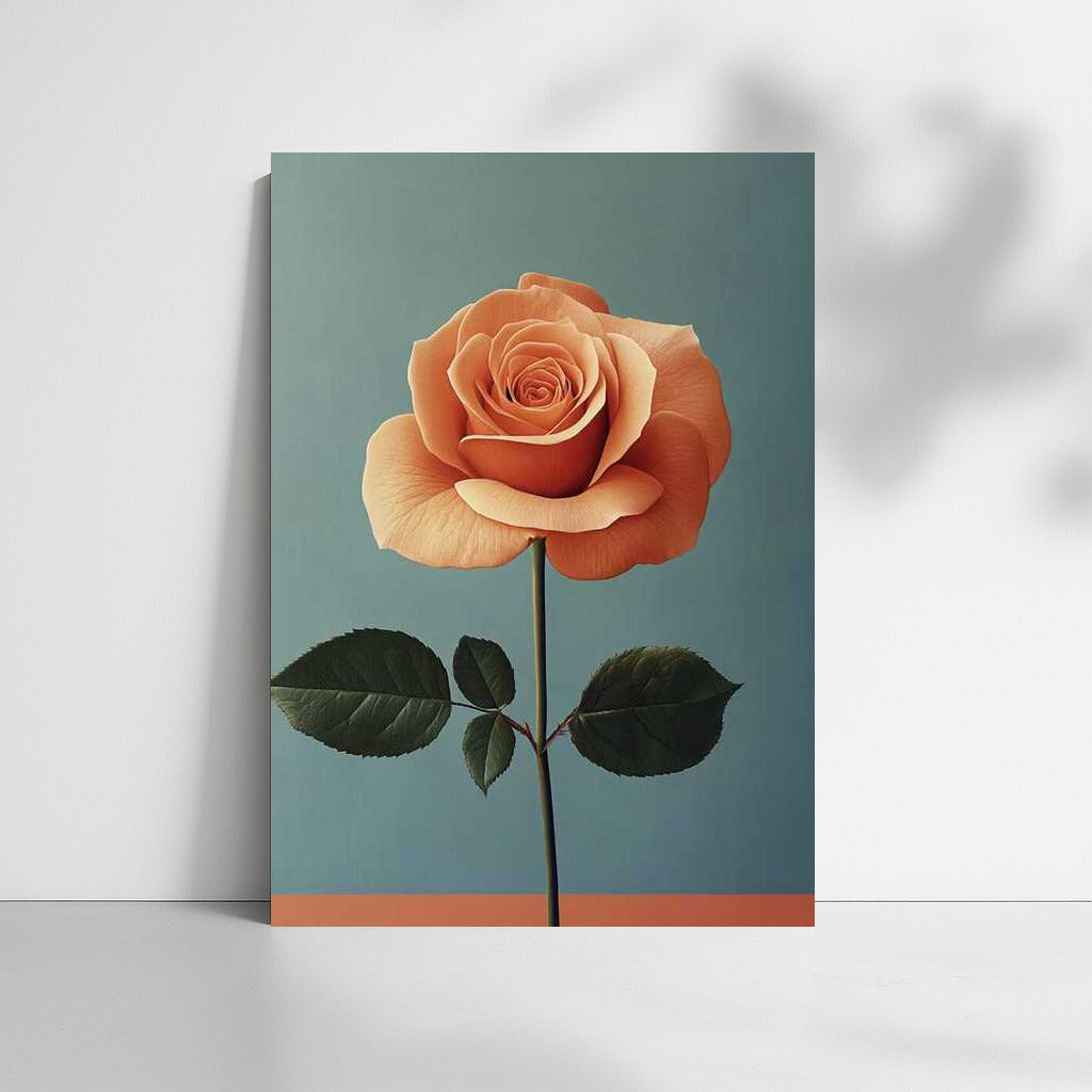 Elegant Rose: Minimalistic Flower Photography