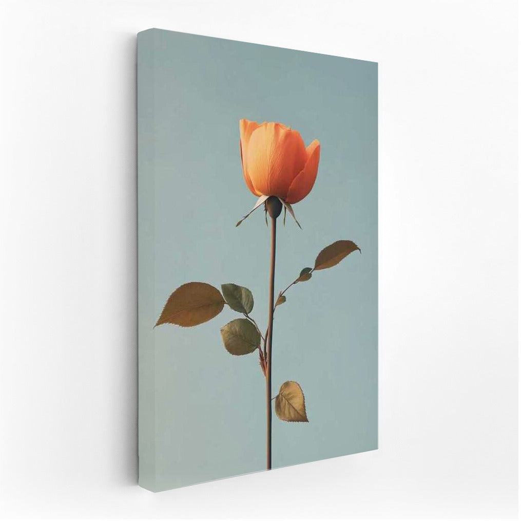 Poem of Tenderness: Minimalistic Rose