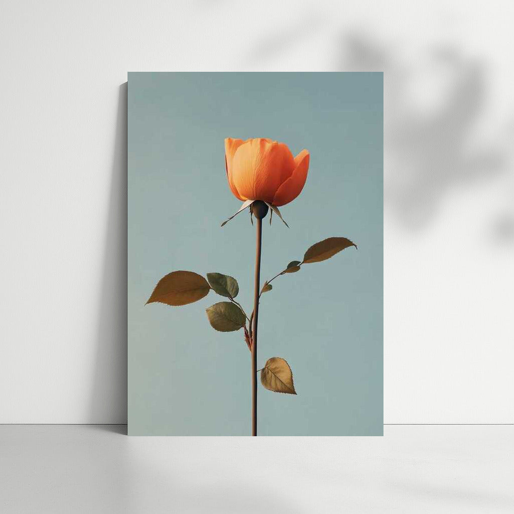 Poem of Tenderness: Minimalistic Rose