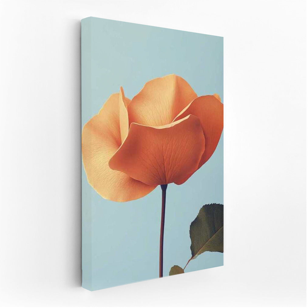 Tenderness of Roses: Minimalistic Photography of Flowers