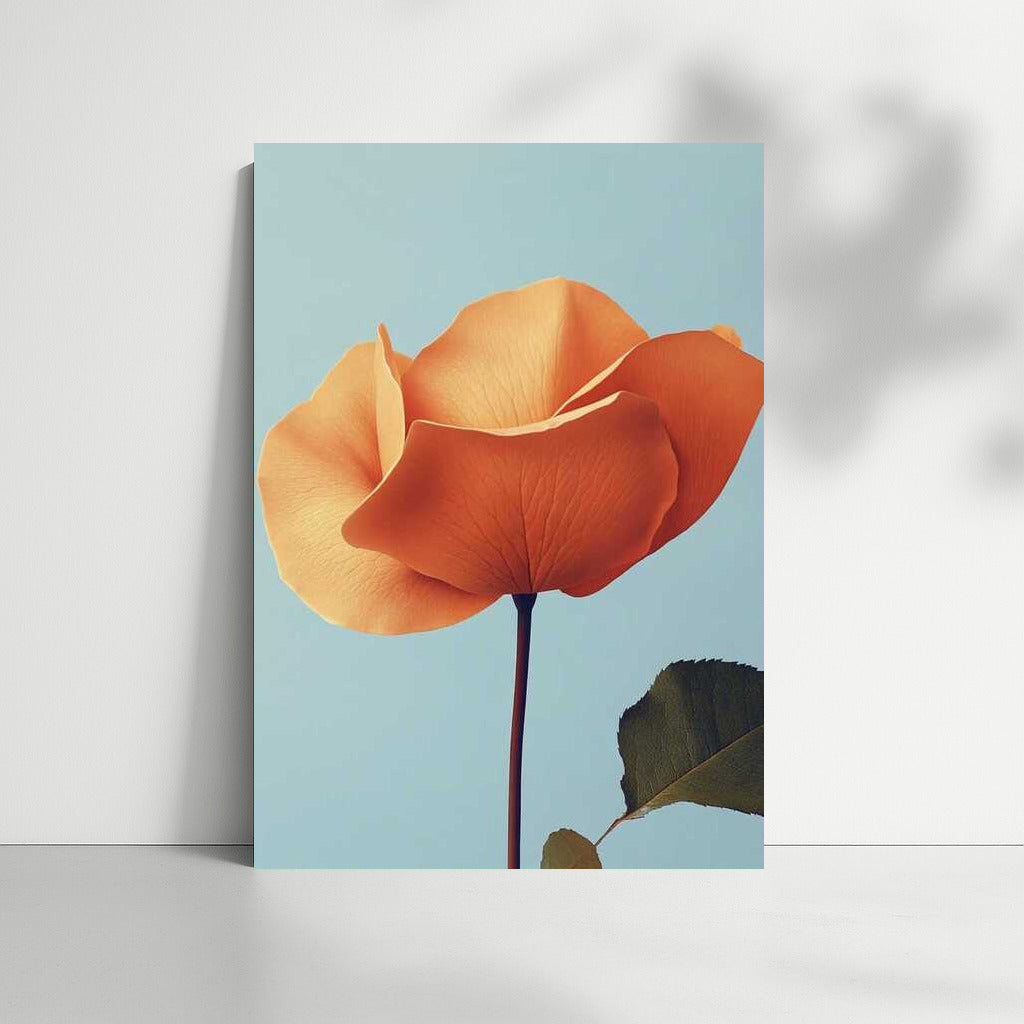 Tenderness of Roses: Minimalistic Photography of Flowers