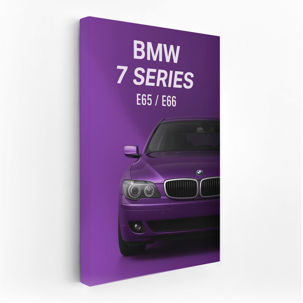 Elegant Accent: BMW 7 Series E65 E66 Sedan Long