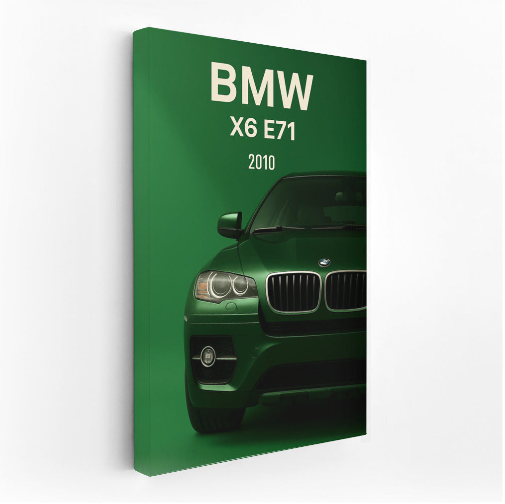 Elegance and Dynamics: BMW X6 E71