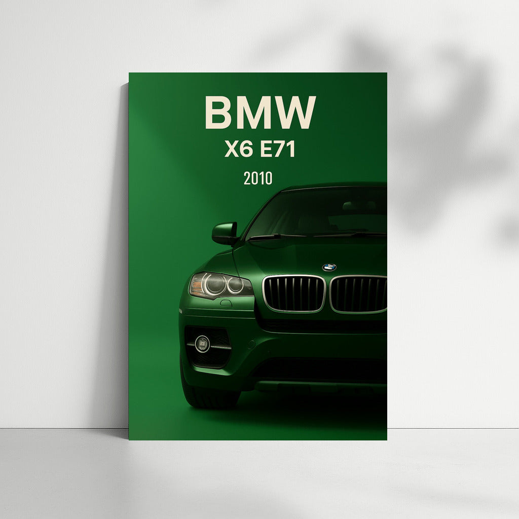 Elegance and Dynamics: BMW X6 E71