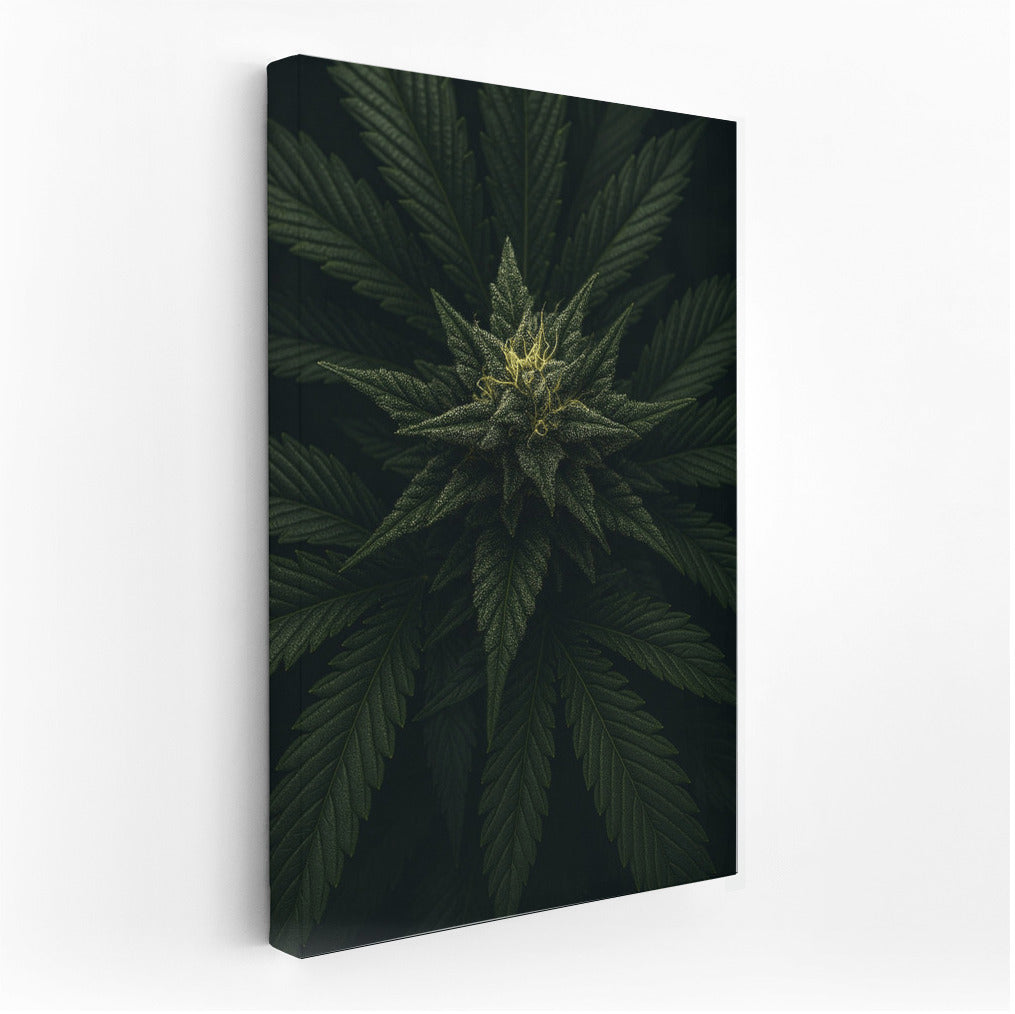 Live Symphony of the Cannabis Leaf
