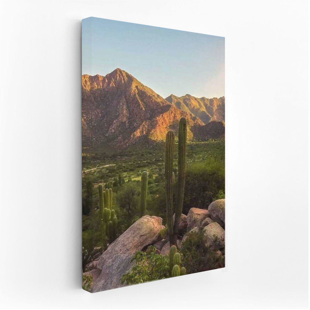 Sunset over the Argentine Mountains: Wildlife