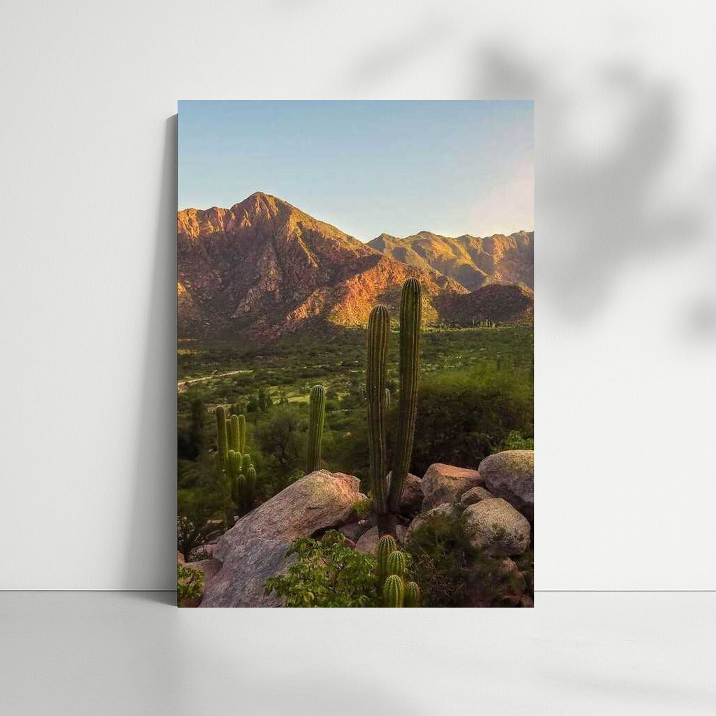 Sunset over the Argentine Mountains: Wildlife