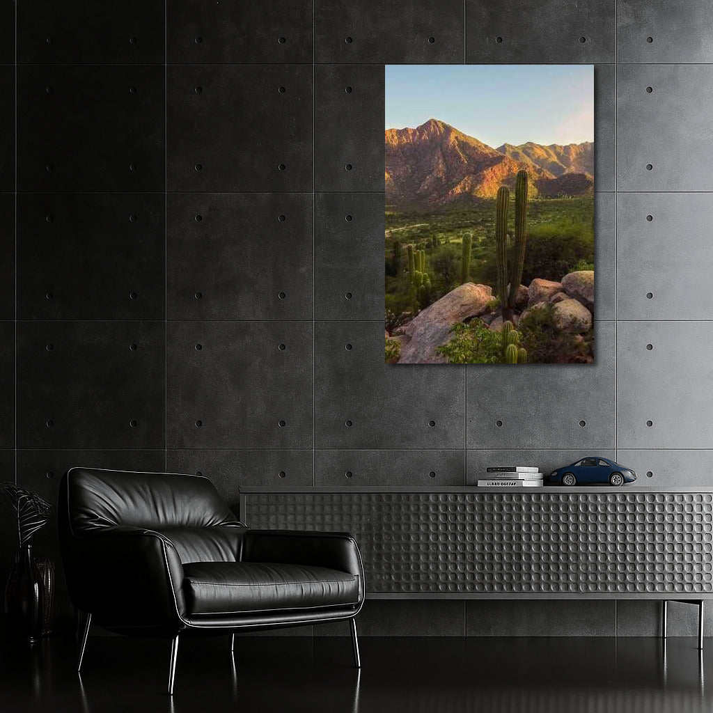 Sunset over the Argentine Mountains: Wildlife