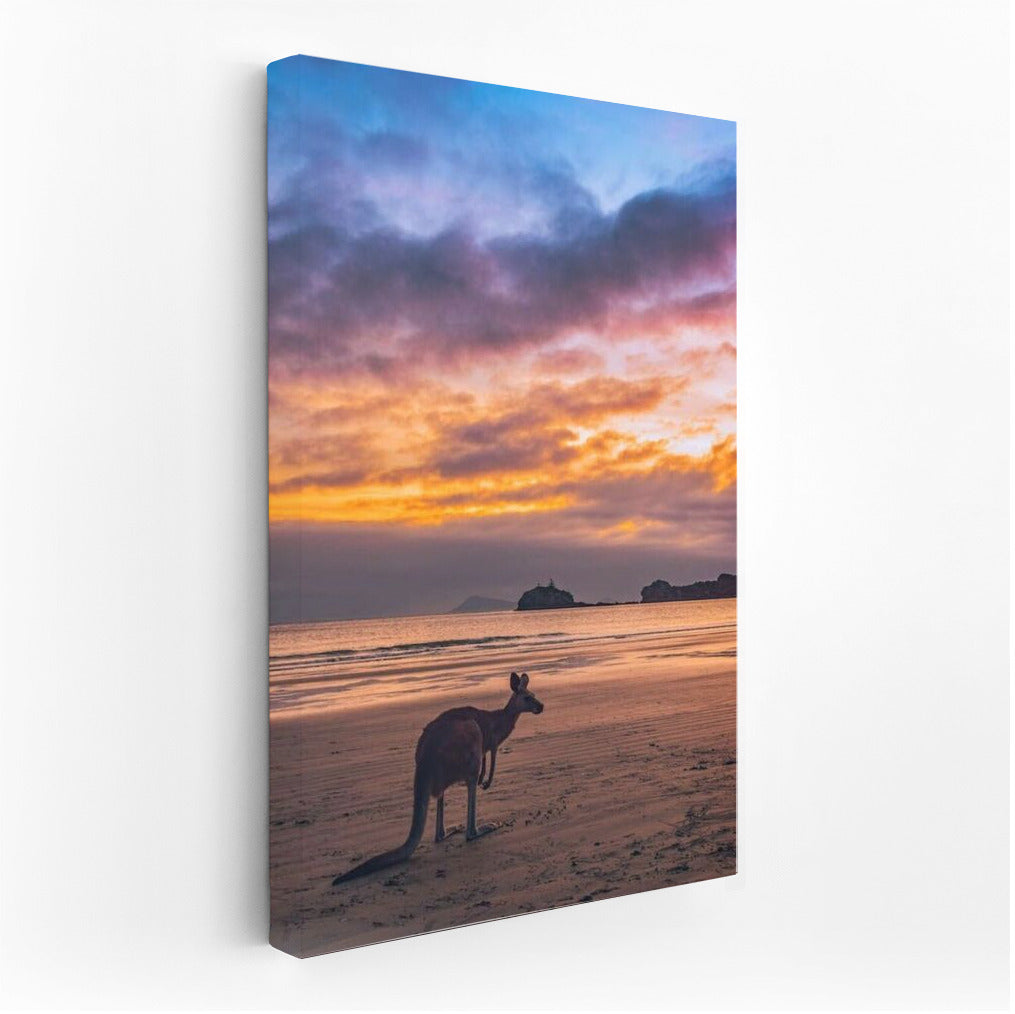 Sunset Charm of the Australian Coast