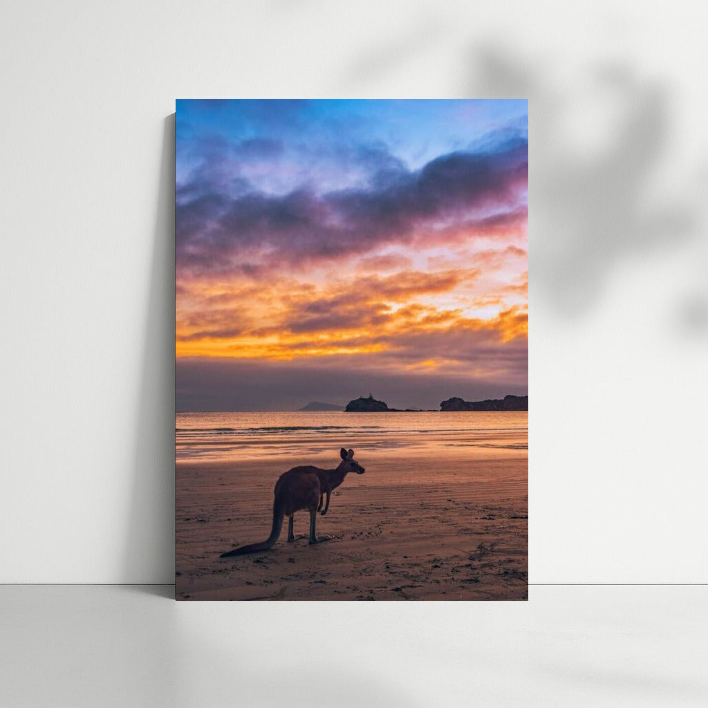 Sunset Charm of the Australian Coast
