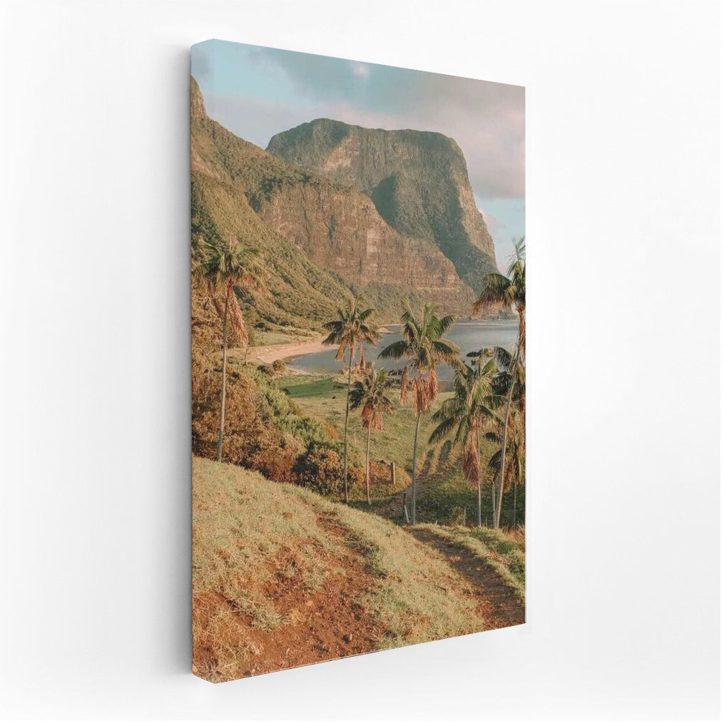 Serene Palms and Rocks of Australia: Cozy Landscape