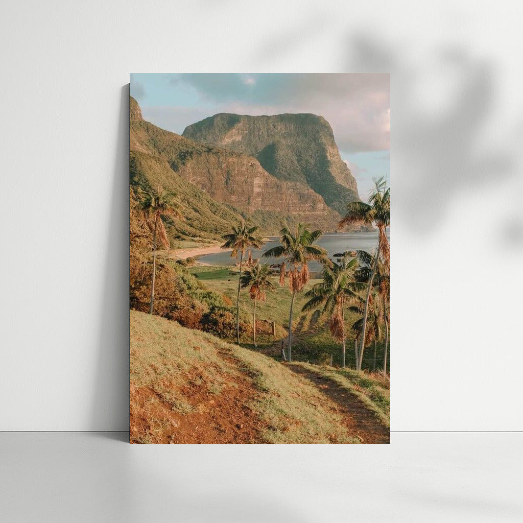Serene Palms and Rocks of Australia: Cozy Landscape