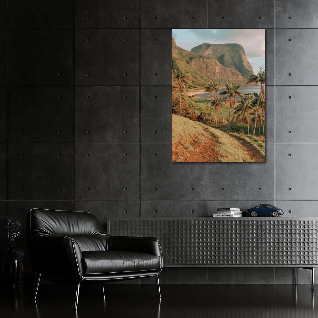 Serene Palms and Rocks of Australia: Cozy Landscape