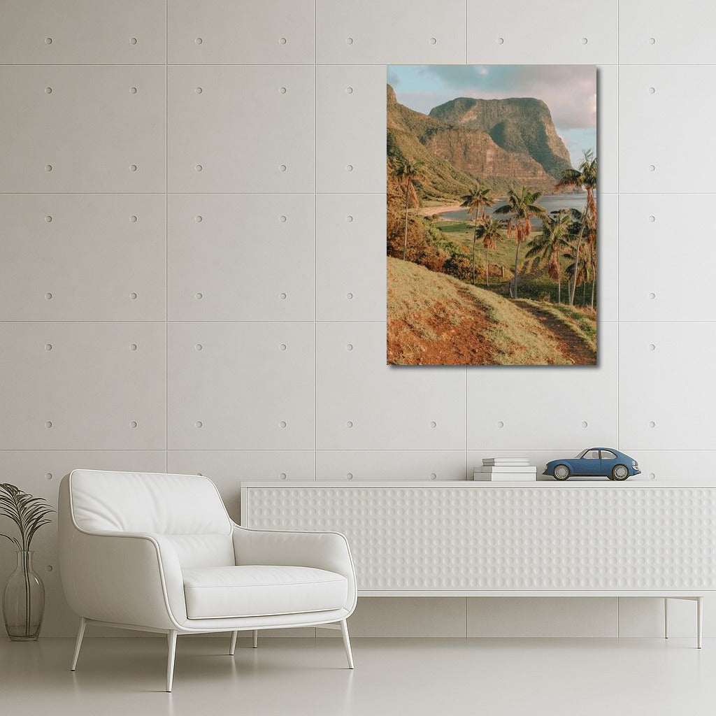 Serene Palms and Rocks of Australia: Cozy Landscape