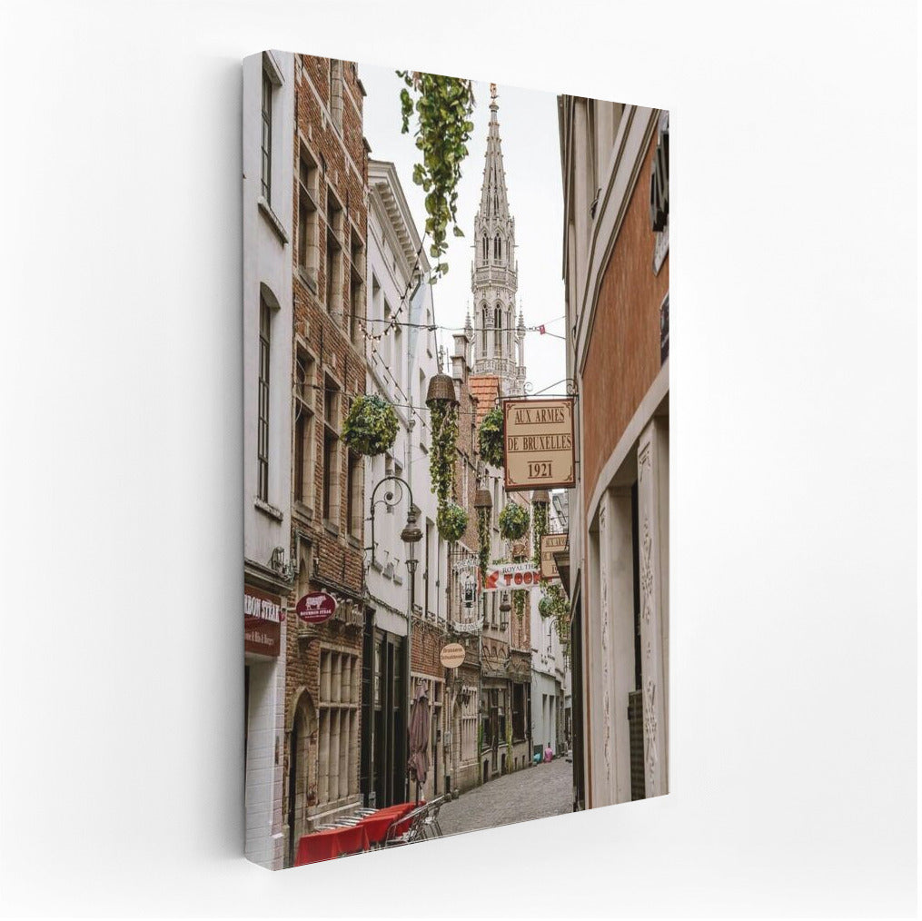 Old Street of Belgium: The Path to the Majestic Tower
