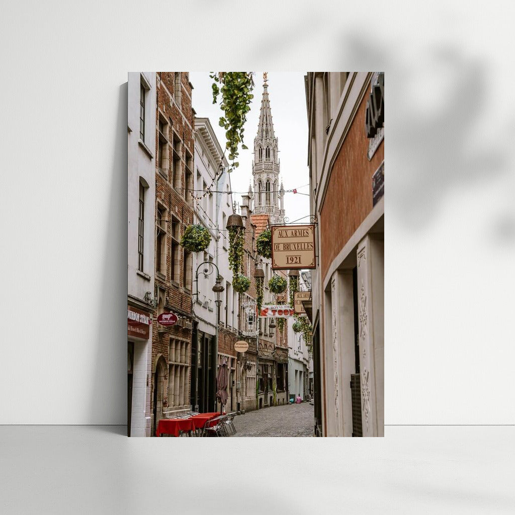 Old Street of Belgium: The Path to the Majestic Tower