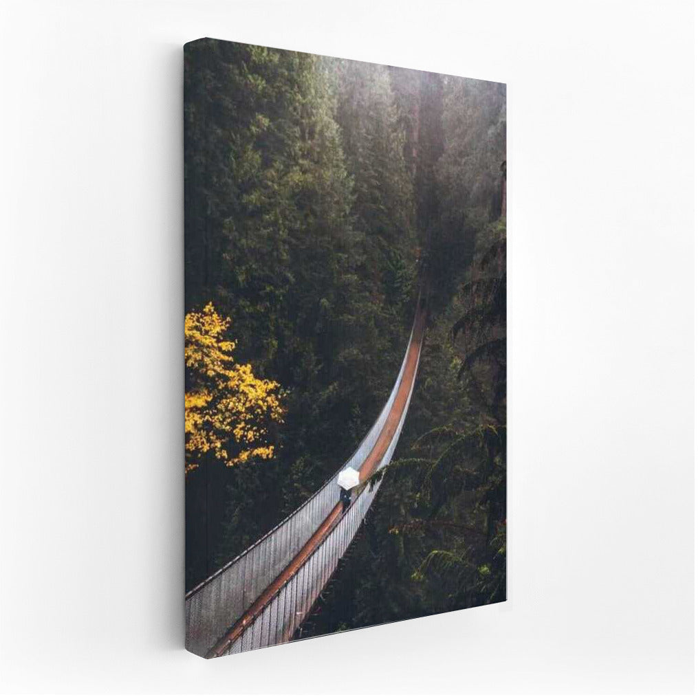 Floating Bridge in the Canadian Forest: Immersion in Nature