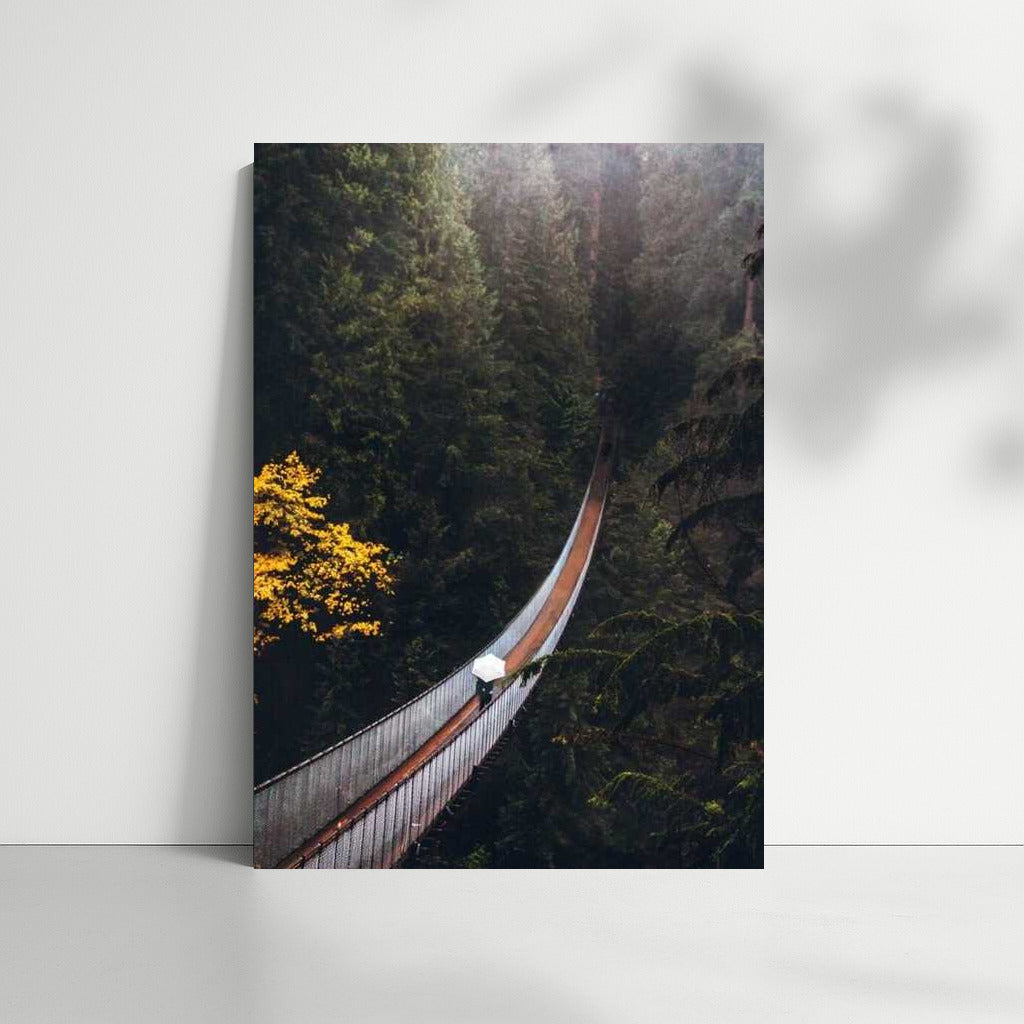Floating Bridge in the Canadian Forest: Immersion in Nature