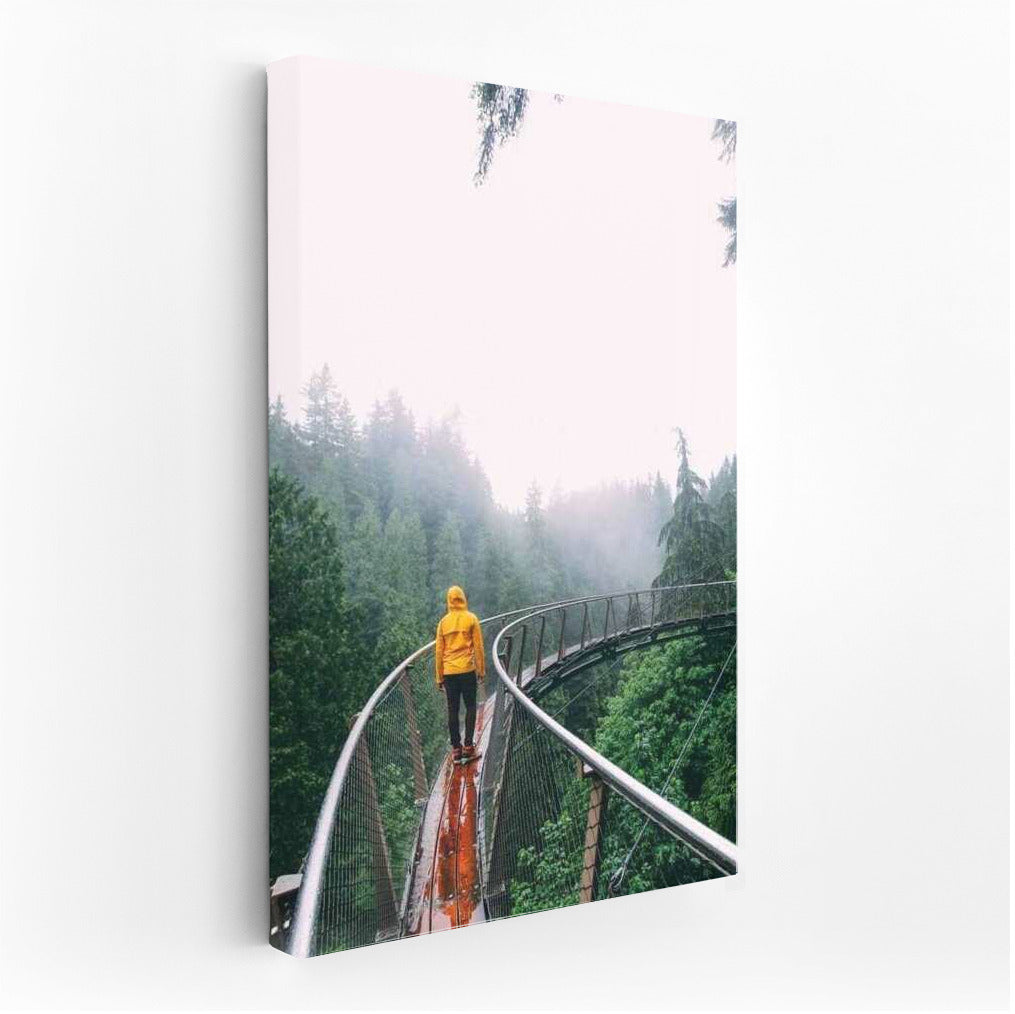 Misty Morning in the Canadian Forest: Adventure and Tranquility