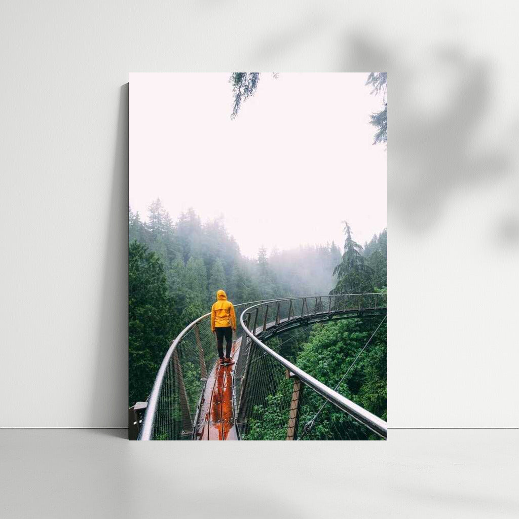 Misty Morning in the Canadian Forest: Adventure and Tranquility