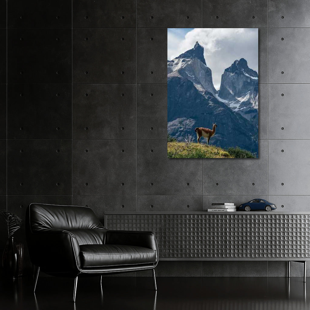 The Majesty of Chile's Mountains and the Lonely Llama: Nature's Inspiration