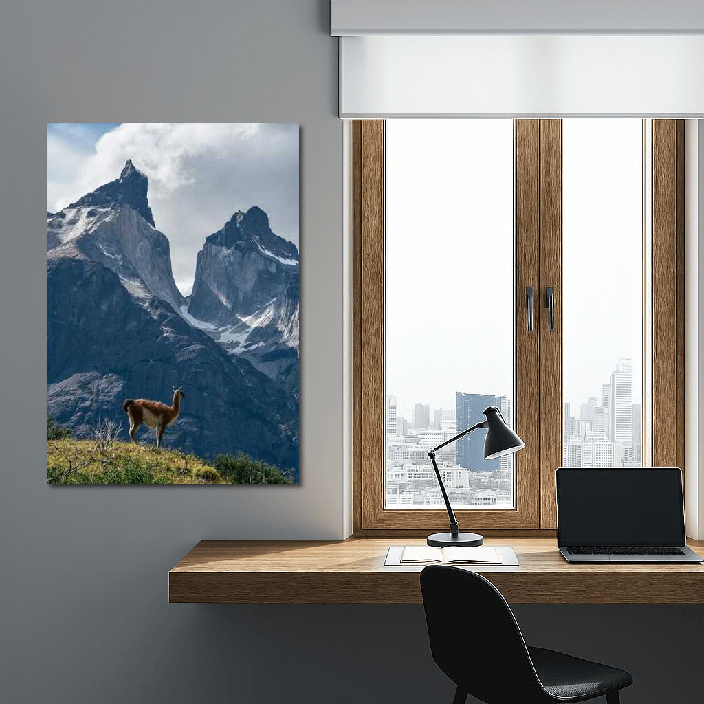 The Majesty of Chile's Mountains and the Lonely Llama: Nature's Inspiration