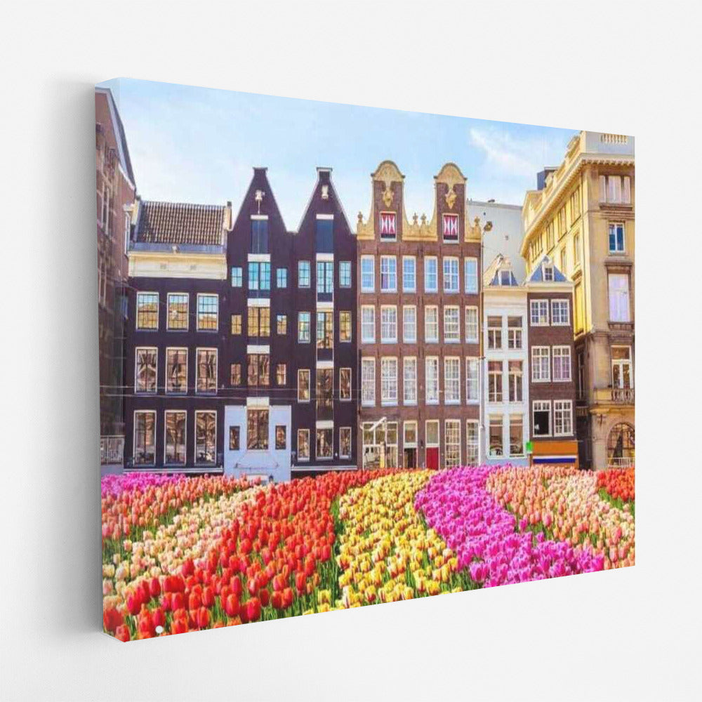 Tulips and Architecture: The Charm of Denmark