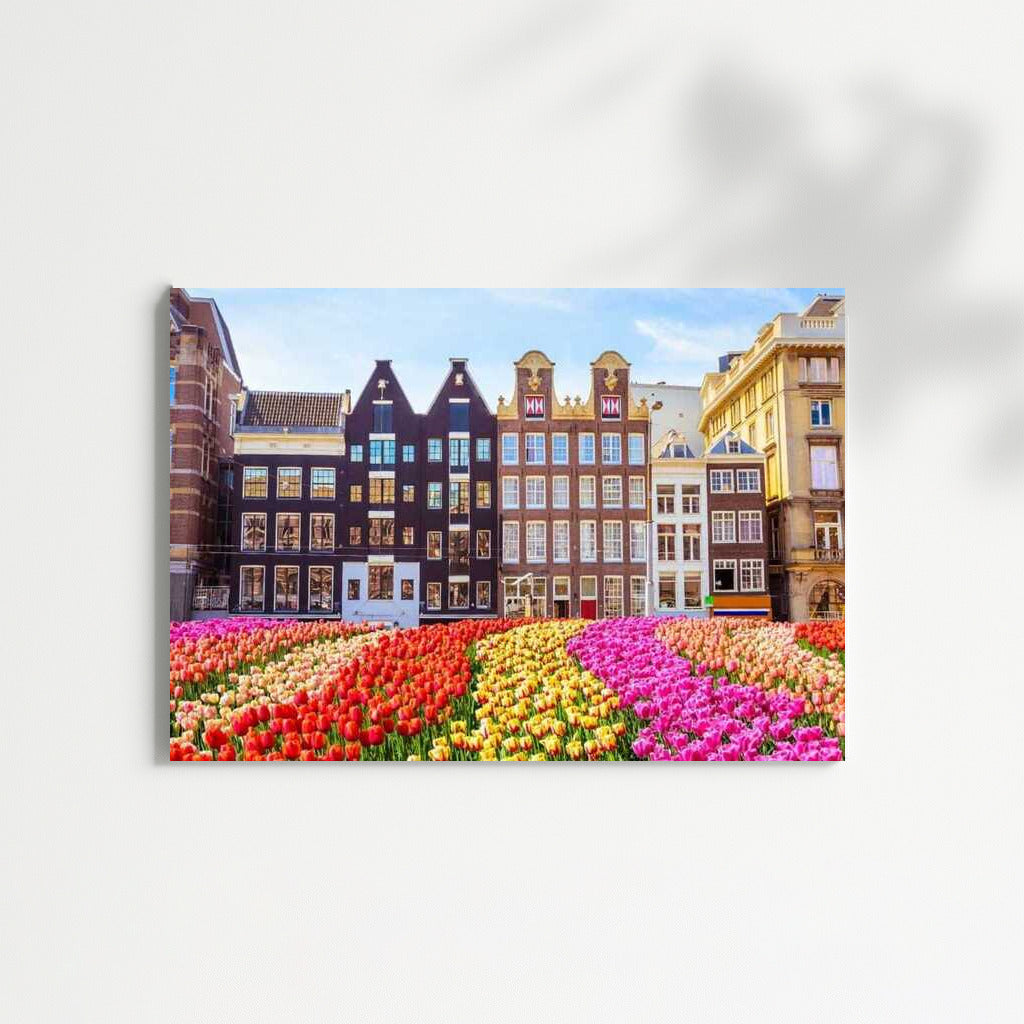 Tulips and Architecture: The Charm of Denmark