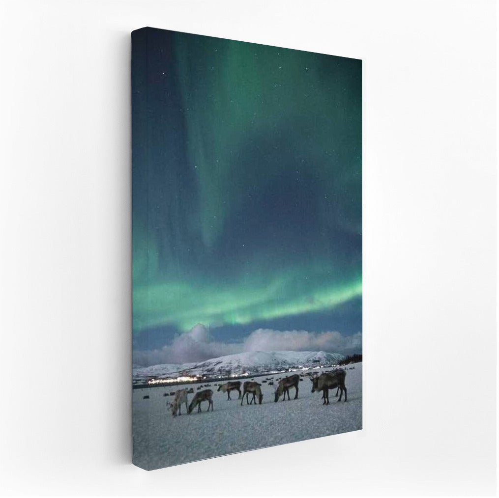 Northern Lights over Finnish Pastoral: Enchantment of the Night