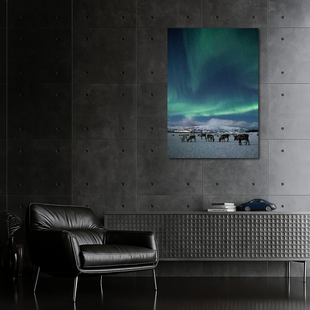 Northern Lights over Finnish Pastoral: Enchantment of the Night